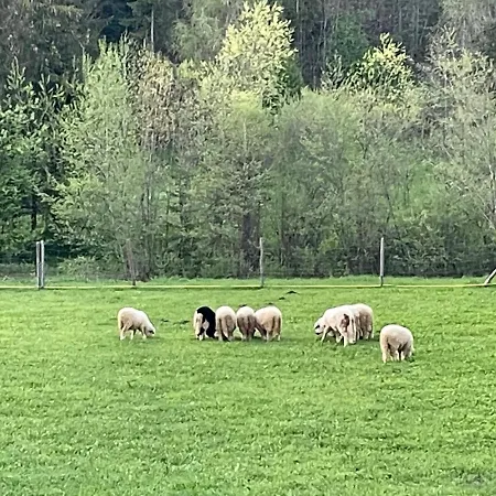 Lejlighed Krystynka Nr 2